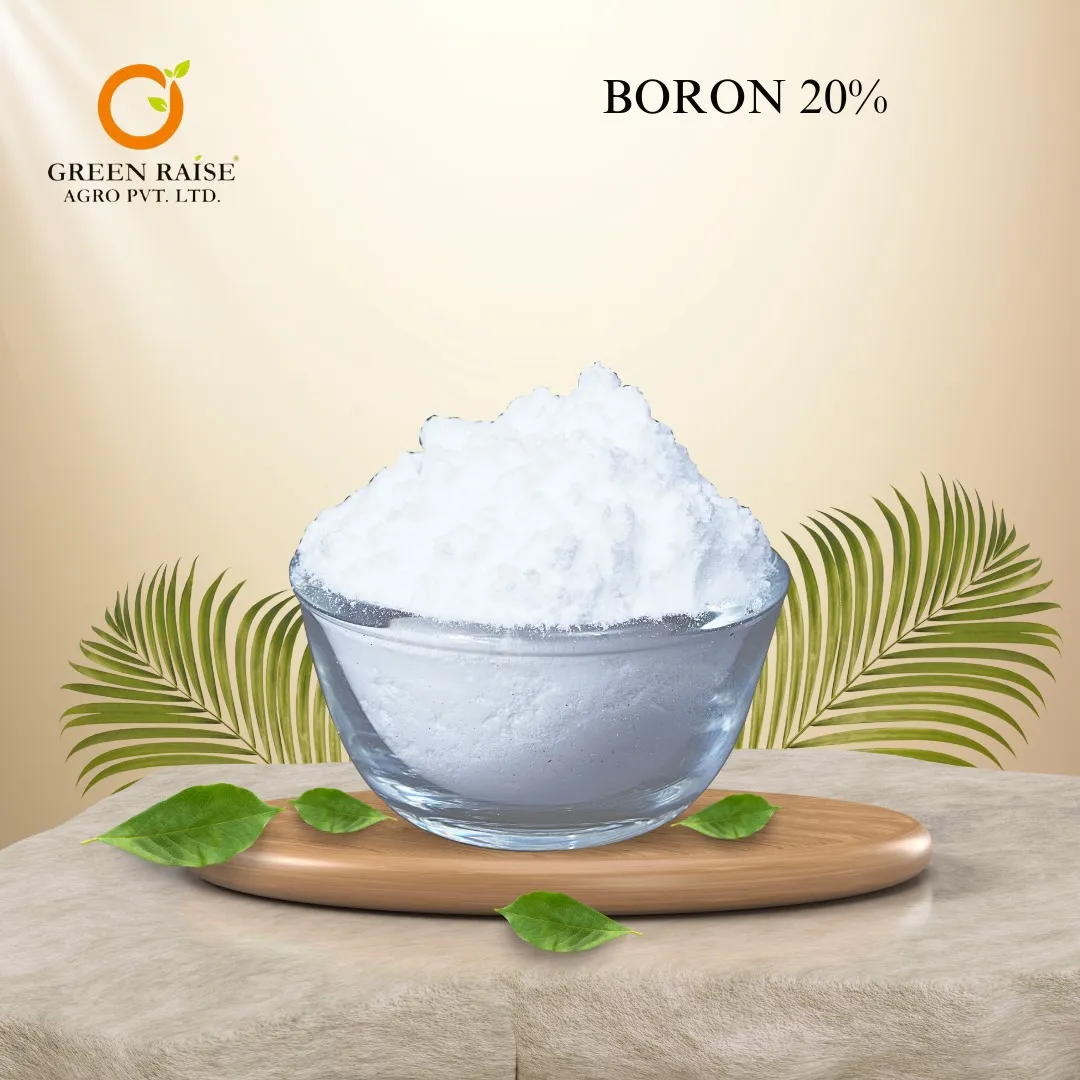 Boron 20% (DOT)