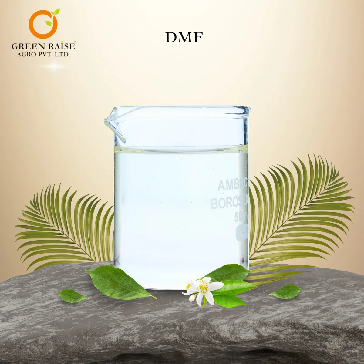 DMF