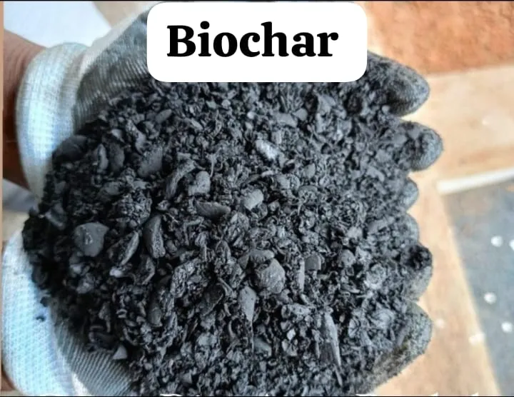 BIOCHAR [ ENRICH CARBON ]