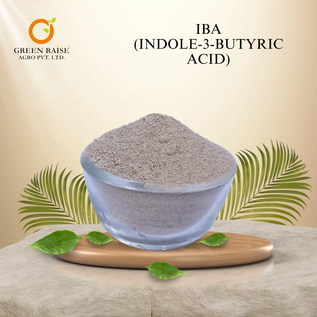 IBA (Indole-3-Butyric Acid)