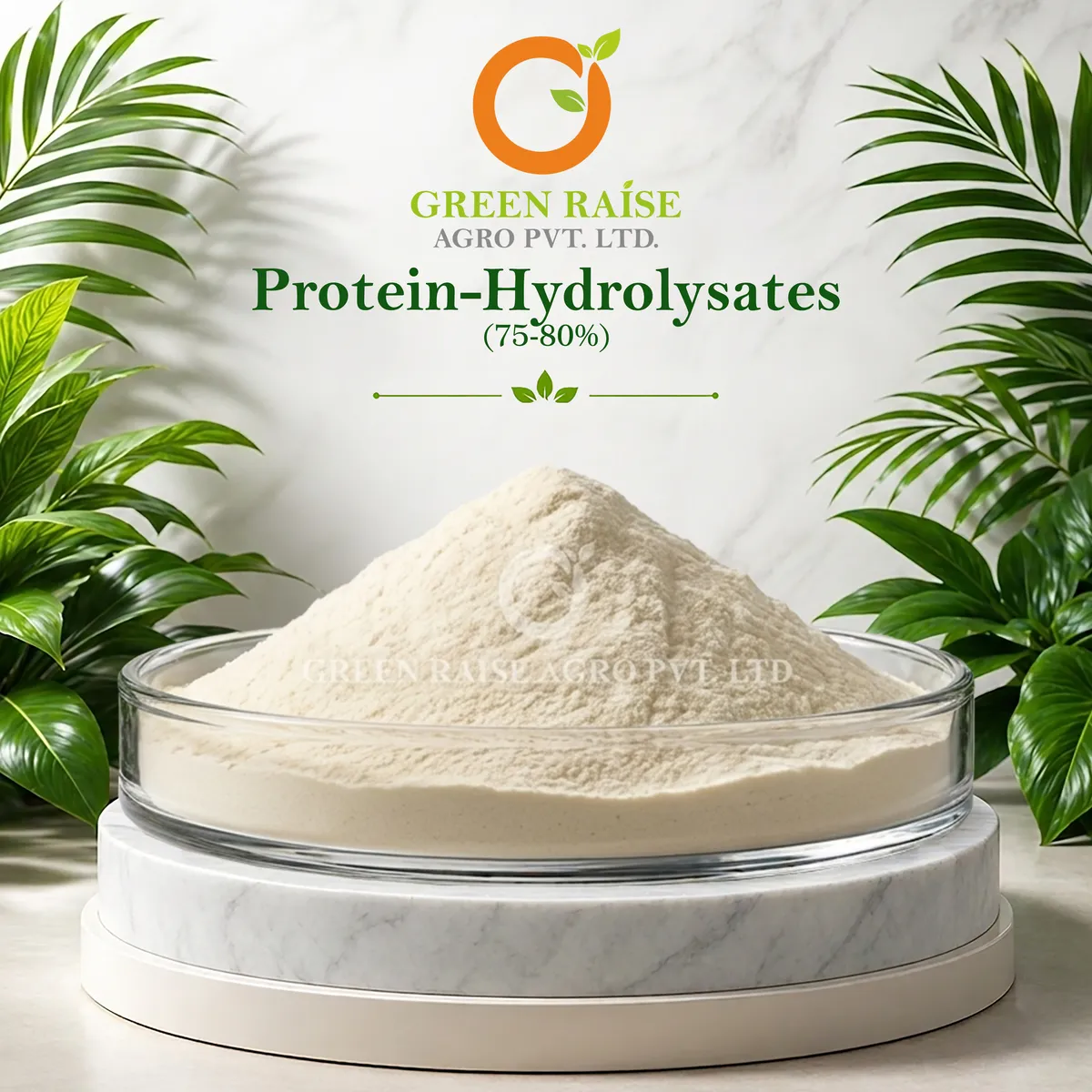 Protein Hydrolysates (75-80%)