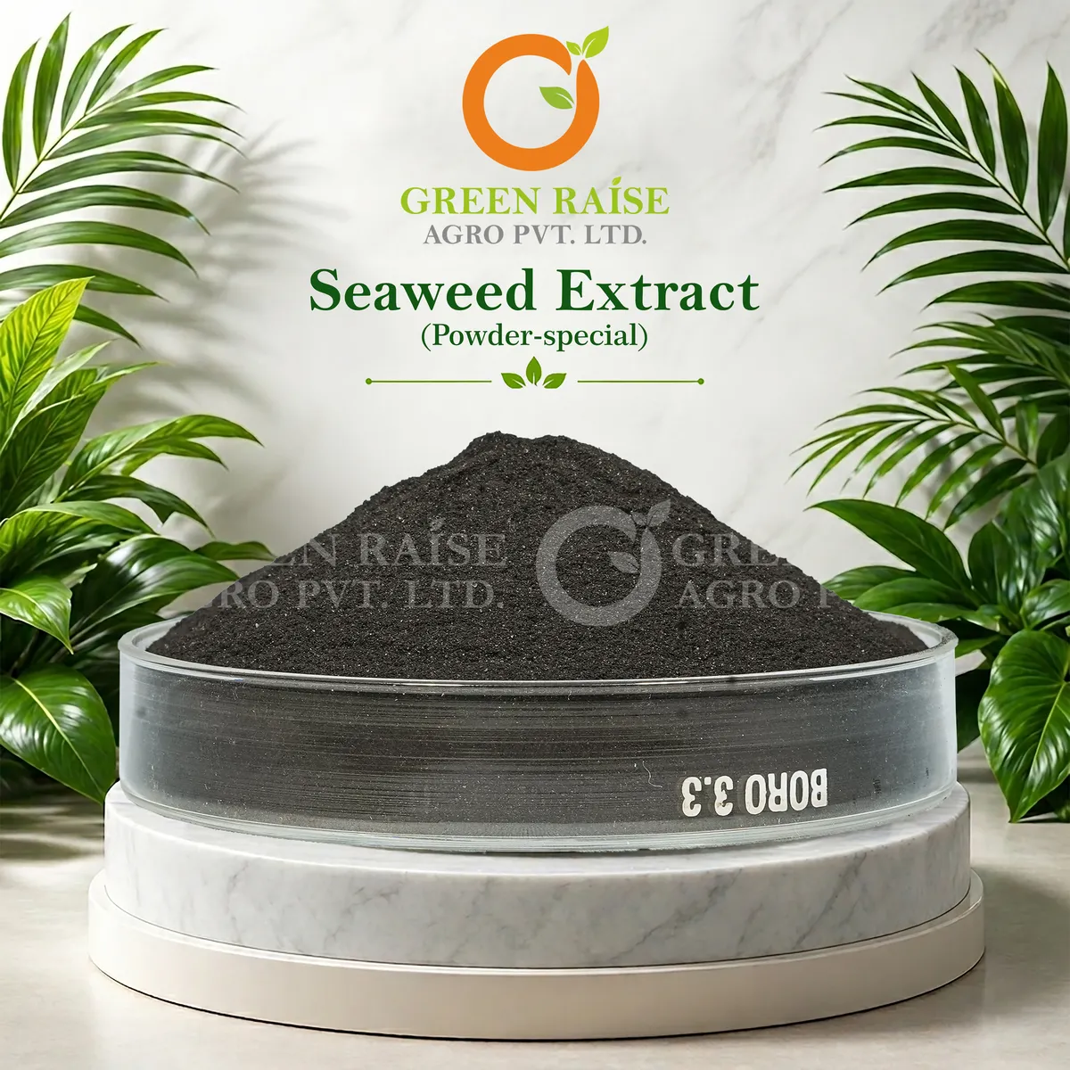 Seaweed Extract Powder Special